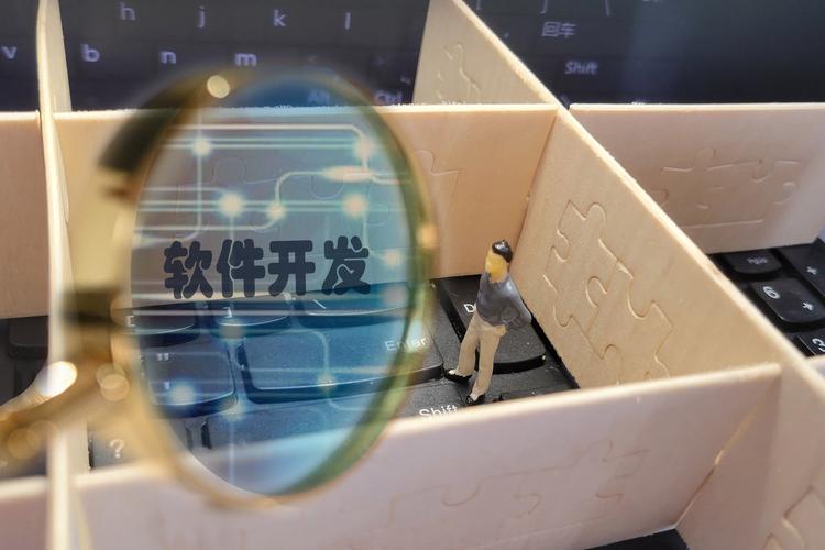 合同未明确软件开发工具提供方，损失责任如何认定？