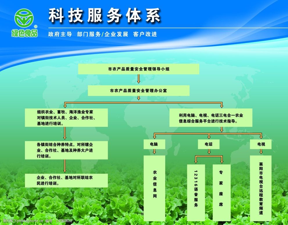 科技服务体系下的软件开发 架构、流程与技术解析